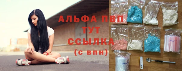 дживик Сосновый Бор