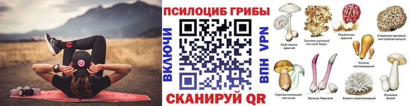 сколько стоит  Невель  Галлюциногенные грибы MAGIC MUSHROOMS 